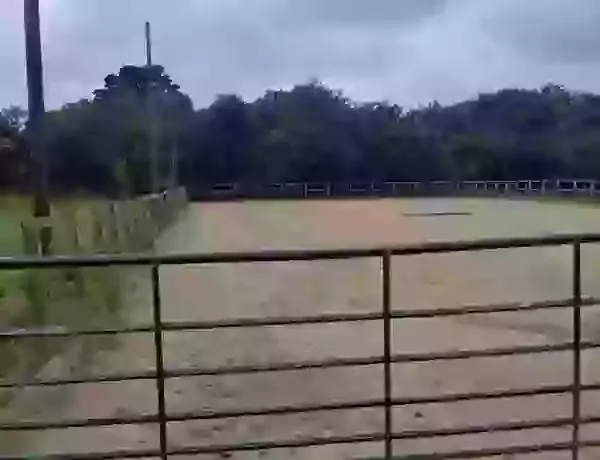 Equestrian